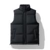 Outono e inverno 2024 Novo colete de algodão estilo Hong Kong, marca da moda masculina, colete solto masculino, cor sólida, simples, todos os tipos de combinação, solto