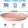 Prato de Jantar Personalizado Amazon Transfronteiriço Prato Redondo 23cm Utensílios de Mesa Domésticos de PP Prato para Salada Petisco Prato de Osso com Impressão de Logo