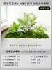 Musgo para Paisajismo de Plantas Verdes Plantas Artificiales Decoración Flores Artificiales Combinación Tropical para Interiores Paisaje de Ventana Persa Arreglo de Césped