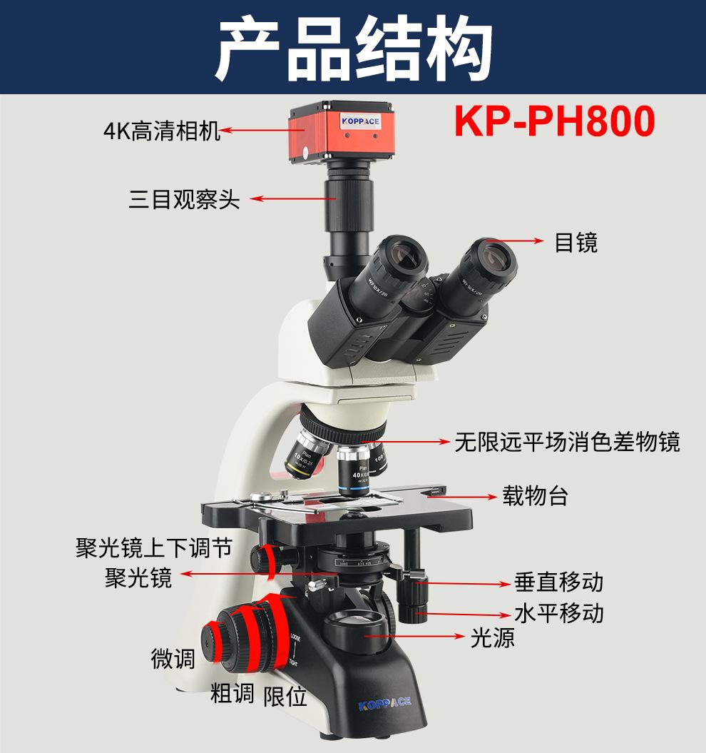详情_03-3.jpg