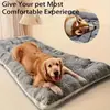Amazon se especializa en Camas para Perros, Tapetes para Perros y Colchas Gruesas Forradas de Polar para Mascotas, Personalizadas para la Temporada de Halloween