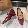Zapatos Mary Jane de Punta Estilo Coreano para Mujer 2026 Otoño Nueva Llegada Color Nude con Falda Correa Única Tacón Alto Planos