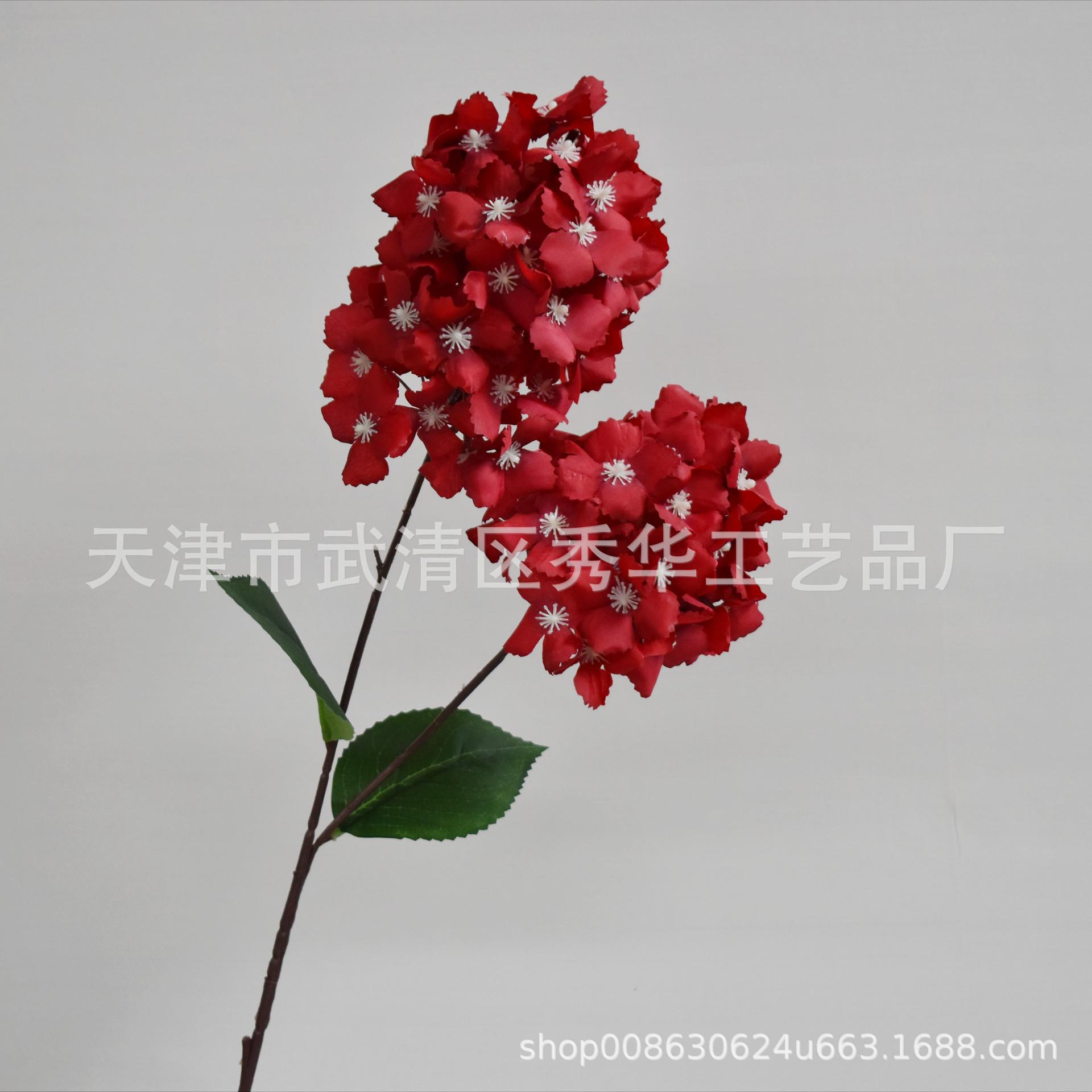 2头绣球 红色