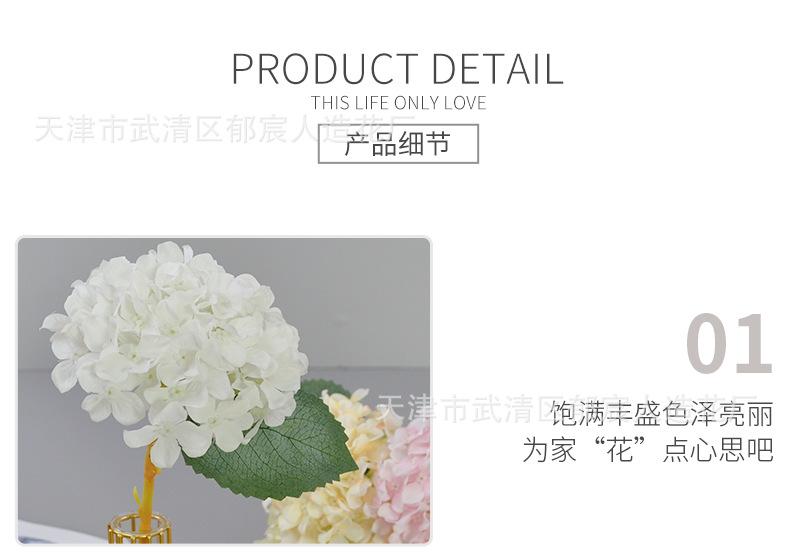 详情_10.png