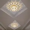 Luces de Pasillo, Luces de Pasillo, Luces de Entrada, Focos LED Empotrados, Focos, Luces de Techo, Luces de Techo con Forma de Flor de Cristal, Luces de Vestíbulo