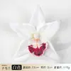 Grampo de Cabelo Orquídea Artificial Cabeça de Flor Presilha de Cabelo Material Orquídea Casamento Arranjo Floral Decoração Fábrica Transfronteiriço