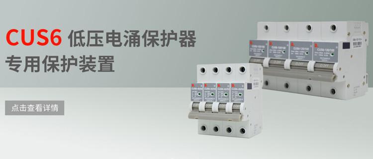 CUS6-QQ1.jpg