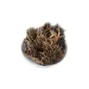 Venta al por mayor y entrega de Ligusticum, Ligusticum, Ligusticum, Ligusticum de Pera, Cebolla de Montaña, Cebolla y Siete Millas Dan