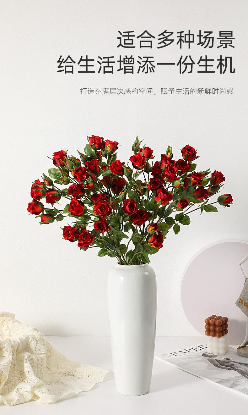 详情_03.jpg