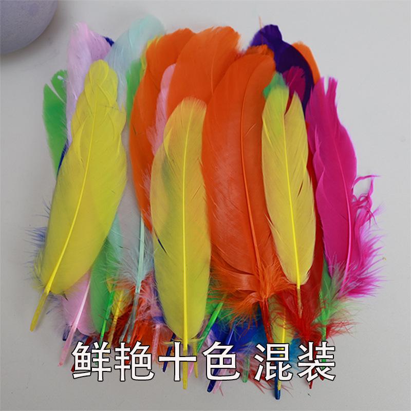 鲜艳十色 混装.jpg