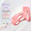 Castidad SM, estilo jaula de pájaro, a prueba de escapes, con cerradura de llave, para hombres, un juguete sexual sensual para parejas, utilizado para juegos previos, para exportación y ventas transfronterizas