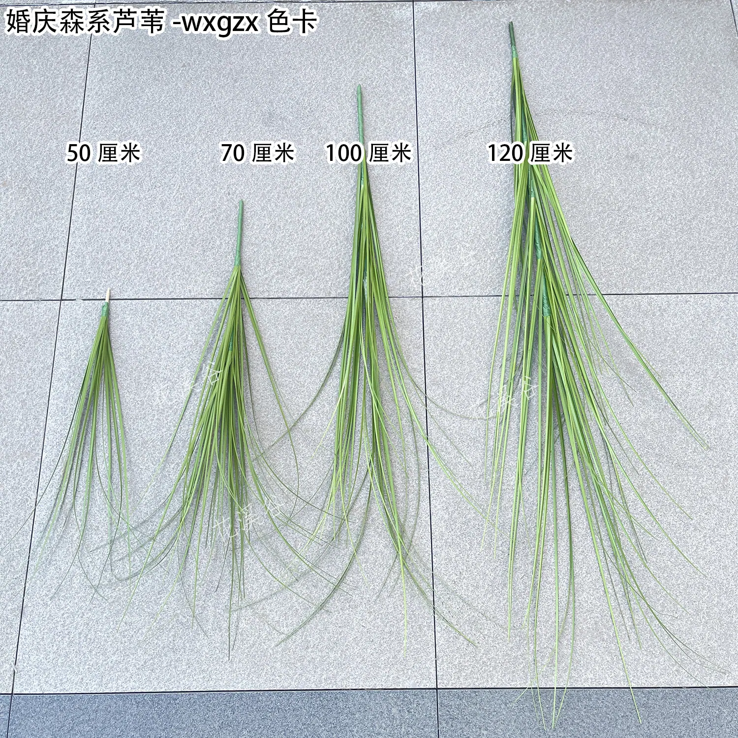 婚庆森系芦苇-wxgzx 色卡 花溪谷.jpg
