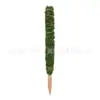 Caña de Trepar para Plantas Hecha a Mano Sin Látex Palo de Coco Palo de Palmera de Coco Extensible Palmera de Coco Rosa Verde Pilar de Jardinería Mayoreo