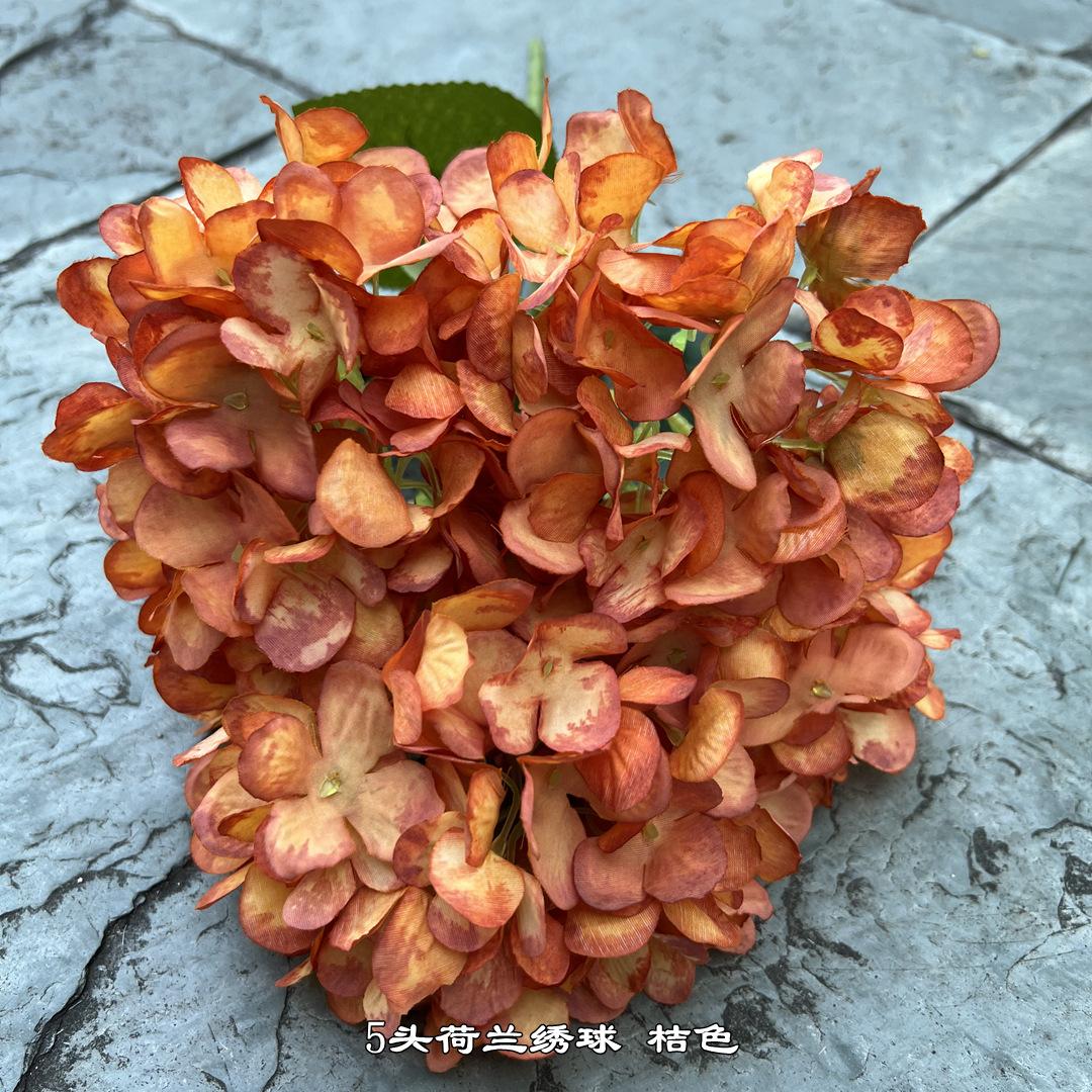 微信图片_20230612114526.jpg