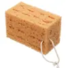 Esponja de lavagem de carro em favo de mel Produtos de limpeza de lavagem de carro Esponja de algas marinhas de coral Esponja de limpeza de carro grande Esponja de depilação de beleza