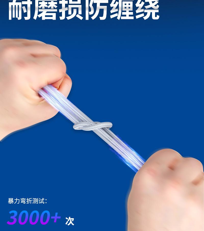 GS2_08.jpg