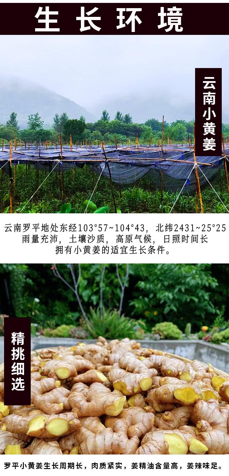 干姜粉详情_03.png