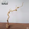 Ramas Secas, Ramas de Madera Natural, Ramas Secas Artísticas, Ramas Muertas, Troncos de Árbol, Formas de Árbol, Percheros de Pared, Decoraciones de Ramas para Techo