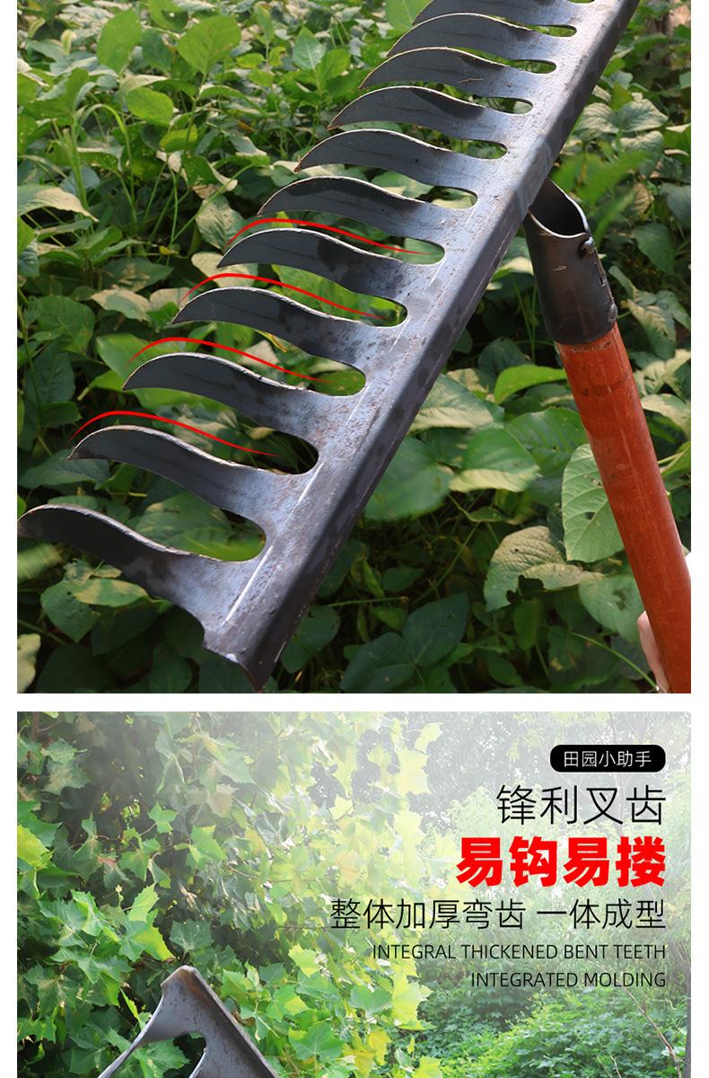 4 拷贝.jpg