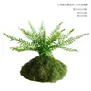 Musgo Sintético Decoración Suave para Interiores Conjunto de Micro-Paisajismo Combinación Ventana Pasillo Musgo Falso Planta Verde Decoración de Paisajismo Arreglo