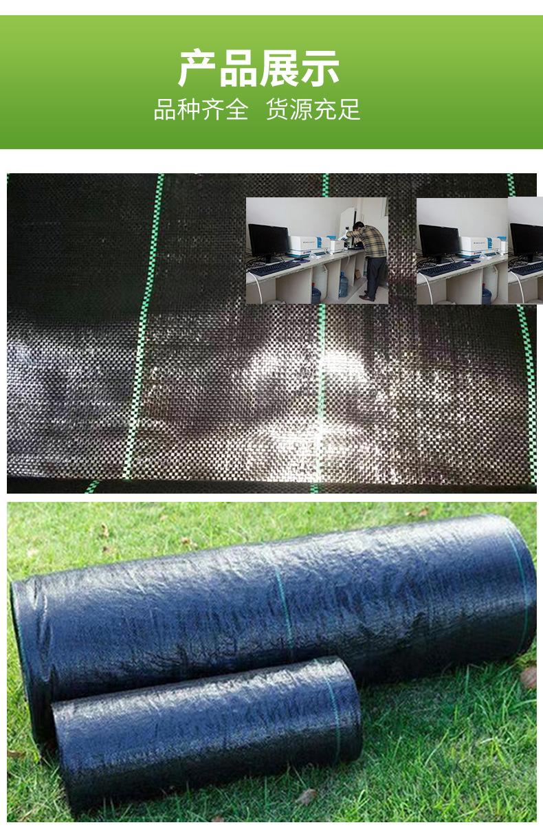 聊城绿色--(11)_03