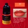 Amostra de Cor Bordado Wanjia 3ml Corante Vegetal para Sobrancelha, Olho e Lábio Não Muda de Cor Sistema de Cor Auxiliar Cor de Sobrancelha Cinza Escuro