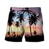 Pantalones Cortos de Playa Estilo Hawaiano para Hombre, Estampado Digital 3D, Europeos y Americanos, Transfronterizos, para Verano 2024, Juventud, Viajes