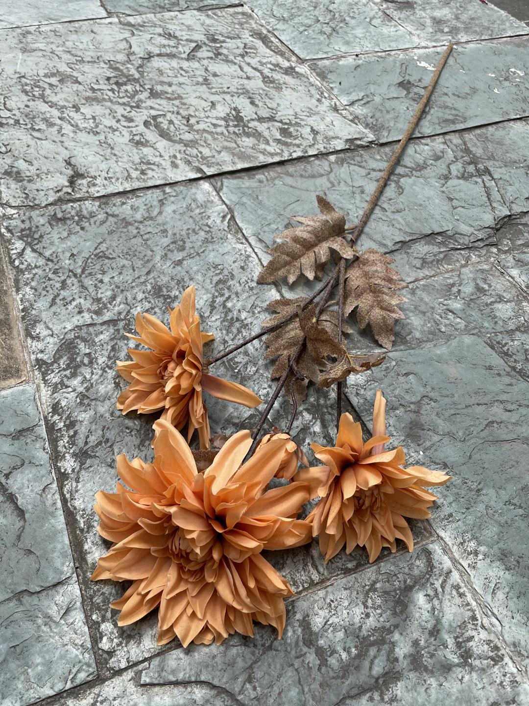 微信图片_20210519182330.jpg