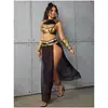 Producto sexy europeo y americano Reina Egipcia ropa con lentejuelas conjunto de danza del vientre conjunto de malla hueca ropa de actuación
