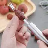Nuevo descorazonador de frutas de acero inoxidable para el hogar, descorazonador de dátiles rojos y ojos de dragón, extractor de semillas, gadget de cocina multifuncional