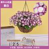 Plantas Colgantes Artificiales Colgantes de Pared Lirio Cesta Pequeña de Flores Flores Falsas Margarita Pequeña Flor de Gloria de la Mañana Rama Decoración del Hogar