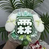 Chen Zheyuan (Yuan) Celebridad Hecha a Sí Misma Colgante de Bolso Qihang Mini Abanico Reflectante Etiqueta de Nombre Set Completo Terminado Hecho a Mano