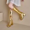 32--46 Botas Altas para Mujer Otoño e Invierno Nuevas Suela Gruesa Tacón Grueso Tacón Alto Cremallera Lateral Doradas Plateadas Botas Largas Transfronterizas