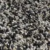 Aceite Semillas de Melón Negro Pequeño de Girasol Semillas de Cártamo Mezcla Dos en Uno Comida para Palomas Comida para Loros Pájaros Comida para Pájaros