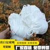Huihua Sports Venta Directa Red de Fútbol Estándar Se Puede Montar Fibra de Algodón Sistema de 3 personas 4 personas 5 personas 7 personas 11 personas Red de Exportación