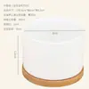 Envio Grátis Vendedor Planta Suculenta Grande Redonda Retangular Cerâmica Combinação Simples Porcelana Branca Pequena