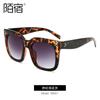 Volumen en vivo nuevas gafas de sol de moda para damas gafas de sol retro gafas de sol para mujer 2022 transfronterizas Europa y Estados Unidos