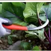 Hoz agrícola para cortar hierba, Hoz dentada para cortar arroz, Hoz de pesca, Hoz dentada de acero inoxidable para cebollín