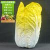 Venta al por mayor de vegetales simulados para educación temprana, accesorios para estudio fotográfico, decoraciones para ventanas, coliflor falsa, rábano falso, vegetales falsos