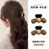 Pinza Pequeña para Cabello para Recogido Parcial en la Parte Trasera de la Cabeza, Pasador para el Cabello de Mujer, Pinza Tiburón Pequeña de Alto Nivel, Nuevo Estilo 2026, Accesorio para el Flequillo