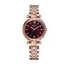 24 Novo Estilo Luxo Leve Moda Estilo Ins Pulseira de Aço Resistente à Água Relógio Feminino Relógio Feminino Distinto de Quartzo