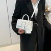 Bolso Pequeño Texchy 2024 Nuevo Bolso para Mujer Elegante Moda Bolso de Hombro Casual Estilo Coreano Moderno Indentación Bolso Cuadrado Pequeño