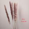 Pequeña flor seca de caña, planta natural, hierba pappas seca, decoración para sala de estar, fiesta, tamaño pampas pampas