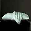 Funda de almohada de seda de morera de 40 momme, juego de dos fundas de almohada de seda, funda de almohada de 48x74cm, funda de almohada individual de seda helada 2