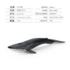 Simulação transfronteiriça animal marinho modelo infantil mini tubarão modelo de brinquedo animal submarino sólidos ornamentos feitos à mão