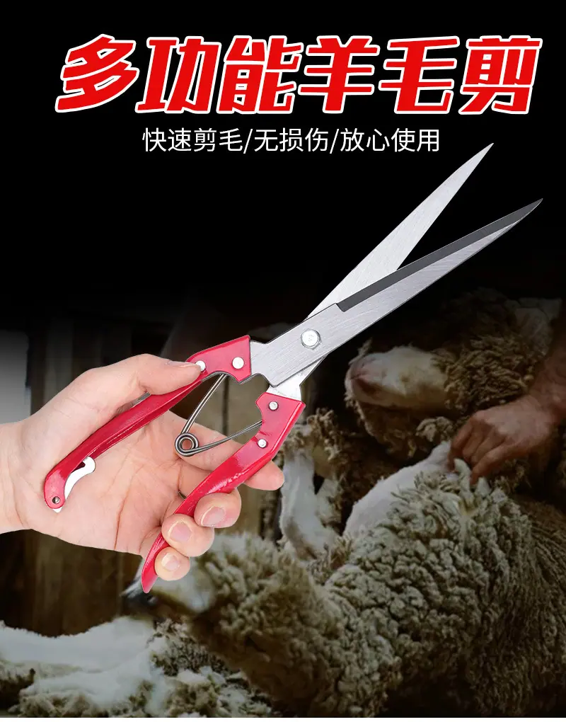 详情4_01