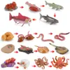 Conjunto de 17 Peças de Figuras Realistas do Ciclo de Vida de Animais Brinquedos Educacionais de PVC Animais Marinhos e Terrestres Incluindo Peixes Polvo Minhocas Raia Borboleta e M