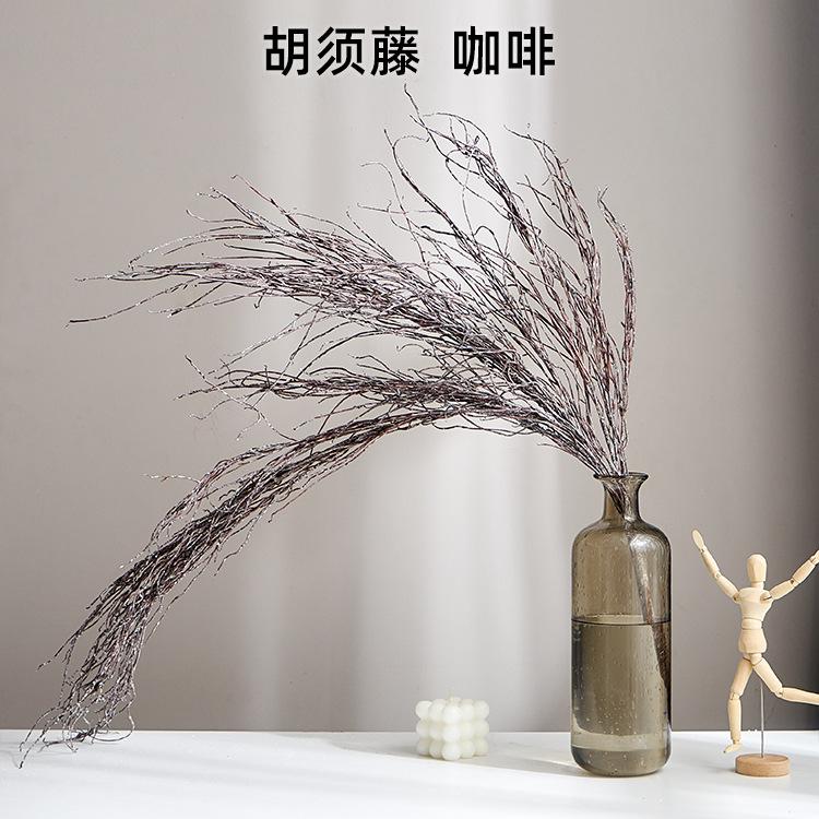 胡须藤  咖啡