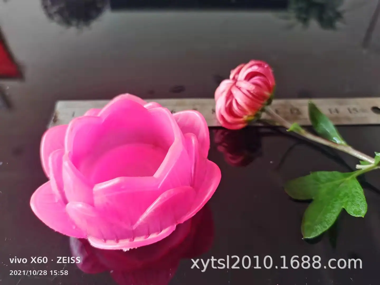 粉色莲花.jpg