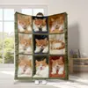 Manta retro de gato lindo más vendida en Amazon transfronterizo con estampado digital de imágenes de mascotas, cubierta de felpa